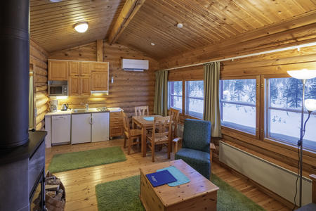 Wohnbereich mit Kamin, Essecke und Pantry-Küche