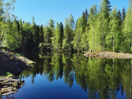 Waldsee