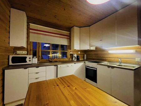 Moderne Küche mit Spülmaschine